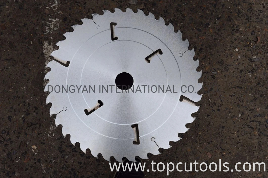 Tct Multi-Ripping Saw Blade with Rakes